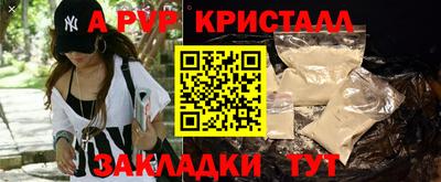 индика Будённовск