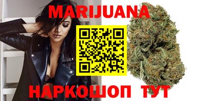 индика Будённовск