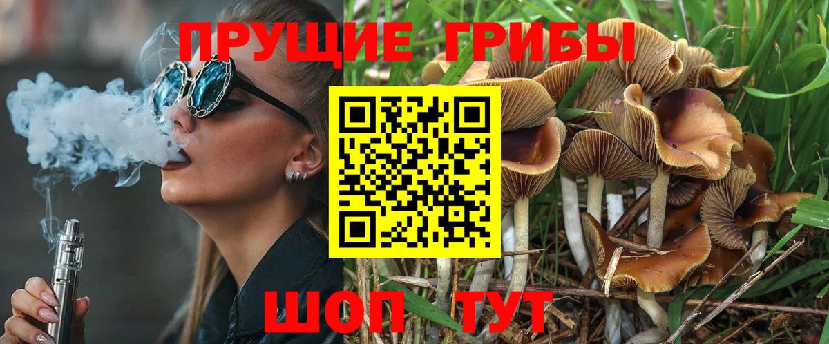 Псилоцибиновые грибы GOLDEN TEACHER  купить   Кумертау  Вход с VPN 