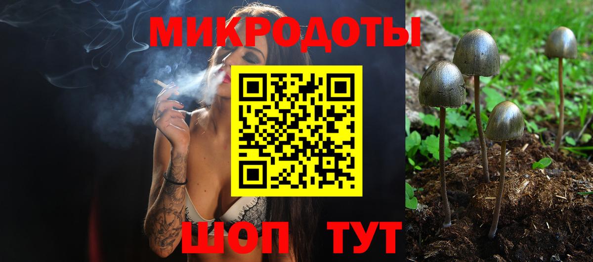 Галлюциногенные грибы Psilocybine cubensis Кумертау